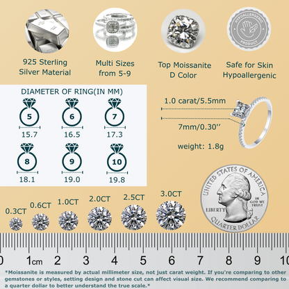 Moissanite Promise Ring for Women