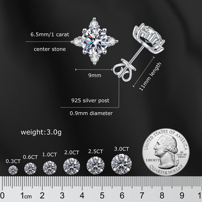 Moissanite Earrings for Women & Men – 1 Carat Sparkling Stud Earrings